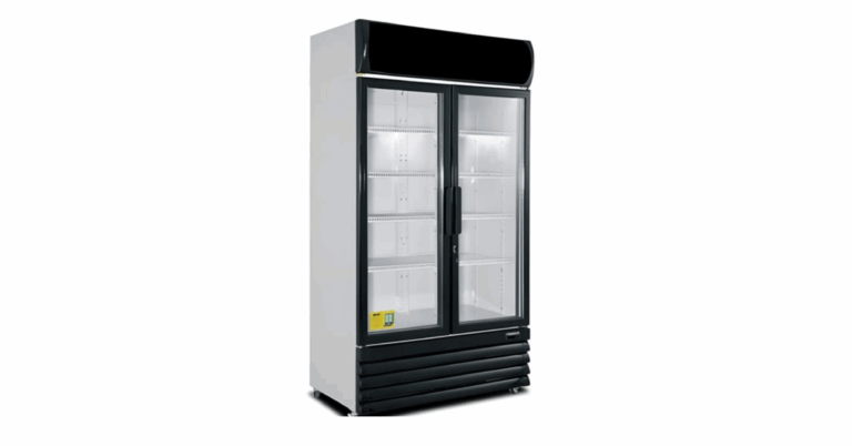 The Importance of Choosing the Right Commercial Chiller 110V for Your Business